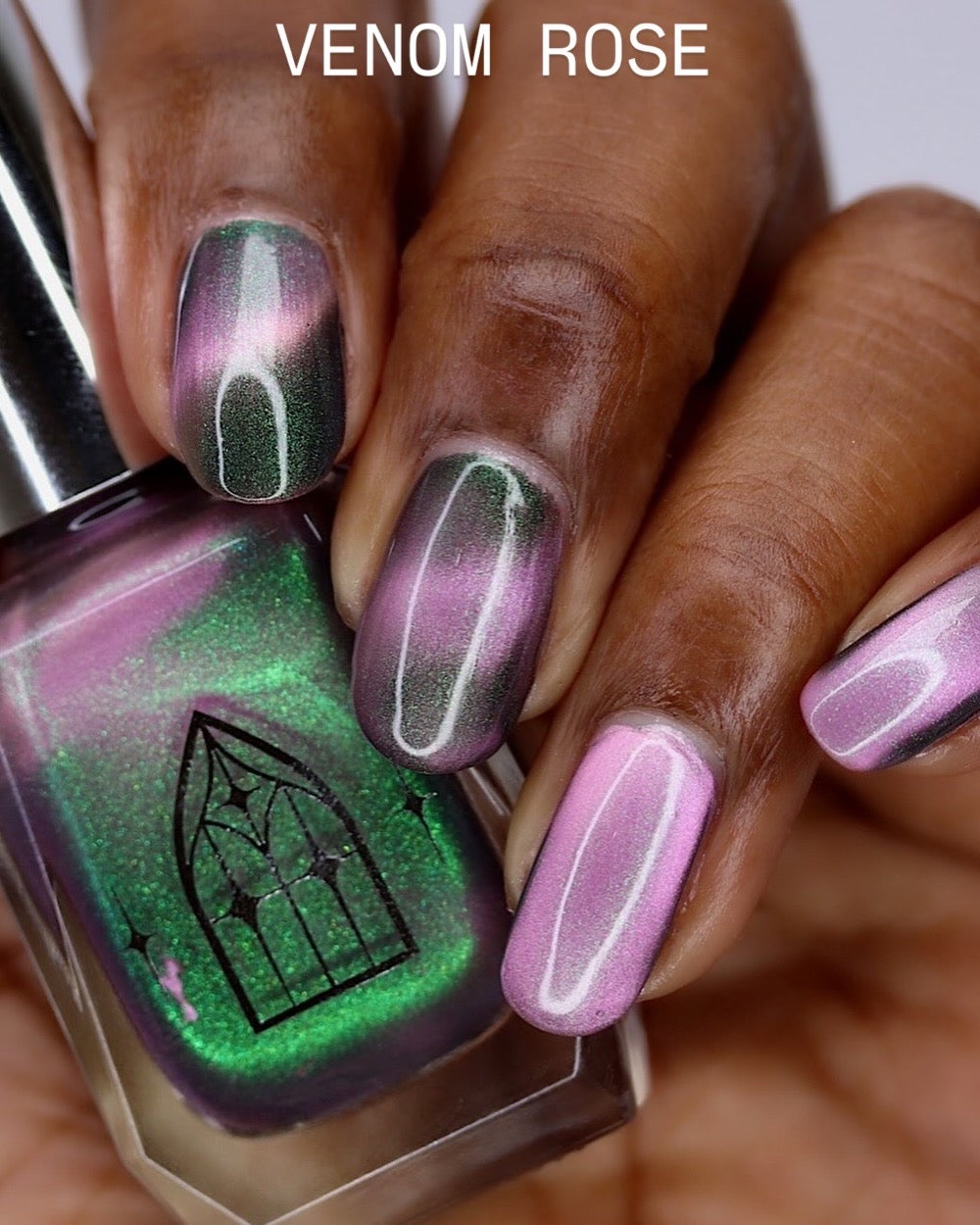 VENOM ROSE